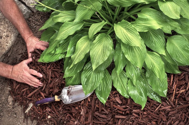Cost of Mulch Spreading — Cost of Mulch Spreading