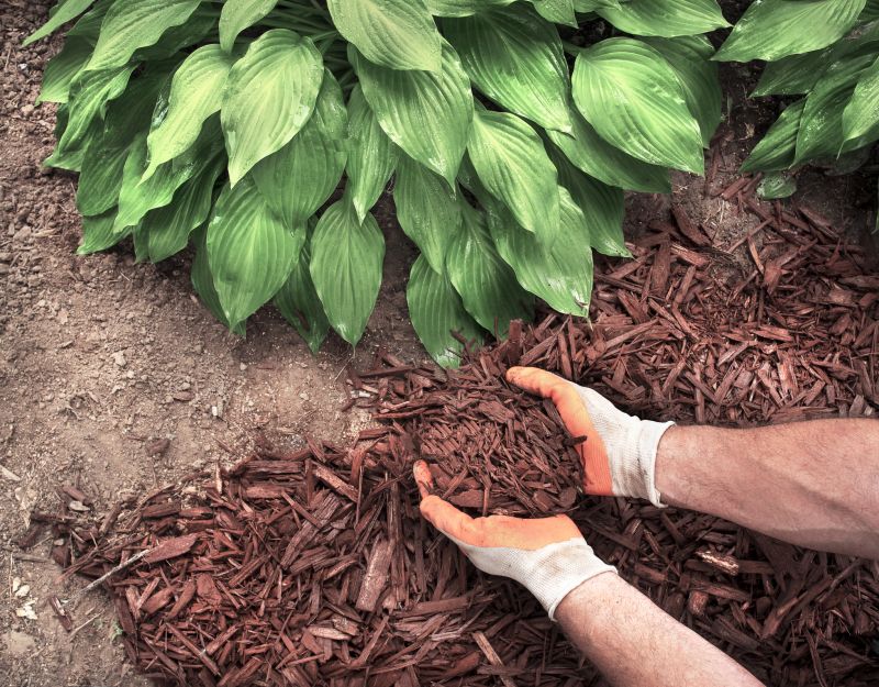 Cost of Mulch Spreading — Cost of Mulch Spreading