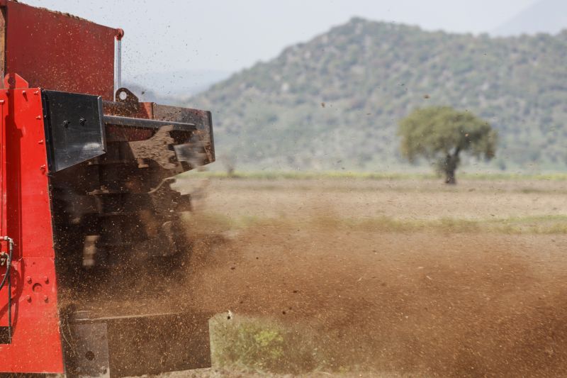 Cost of Mulch Spreading — Cost of Mulch Spreading