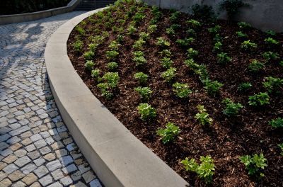 A layer of mulch acts as a natural barrier, preventing weed growth by blocking sunlight and reducing the competition for nutrients