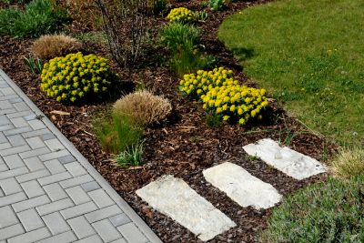 Mulch helps prevent soil erosion by minimizing the impact of heavy rain and wind, which can wash away soil particles